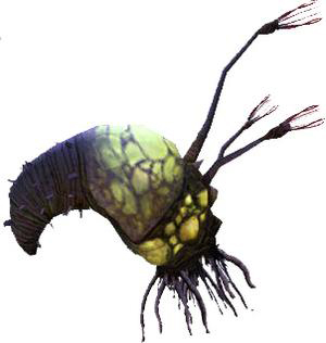 A Flood infection form